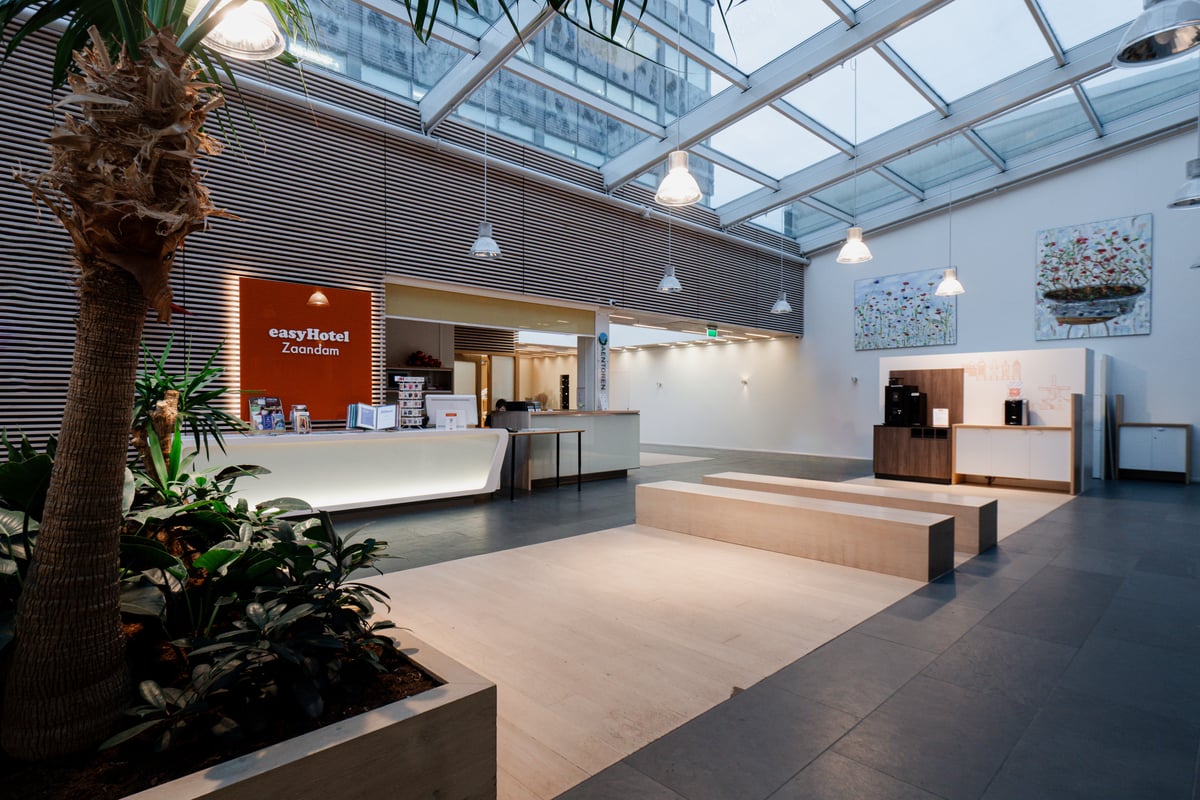 Bright, modern easyHotel Zaandam lobby featuring a white reception desk, wooden benches, and a large palm tree under a skylight.