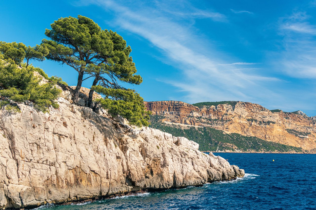 Mediterranean coastline of Calanques National Park, France, with a large pine tree on a rugged limestone cliff overlooking the vibrant blue sea and distant layered rock formations under a clear sky.