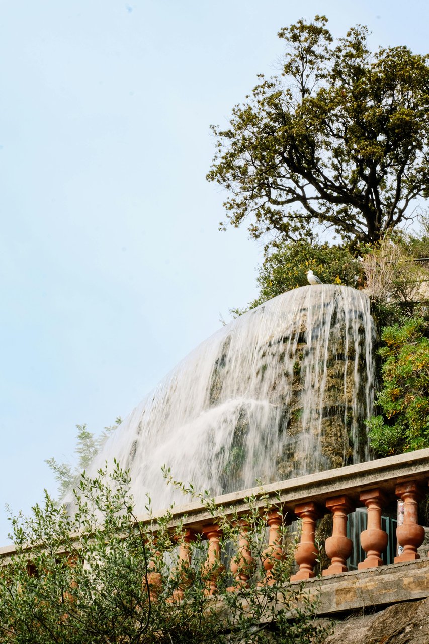 Scenic view of the artificial waterfall on Castle Hill in Nice, France, featuring a seagull perched at the crest, lush trees, and a classic stone balustrade.