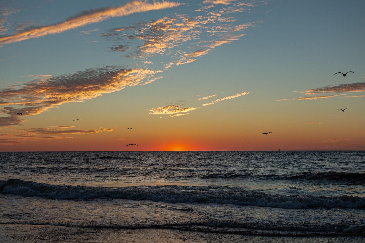 Vibrant sunset over the ocean with a bright orange sun dipping below the horizon, illuminating the sky with streaks of golden and pink clouds. Several birds fly silhouetted against the colorful backdrop, while dark waves gently roll onto the sandy beach.