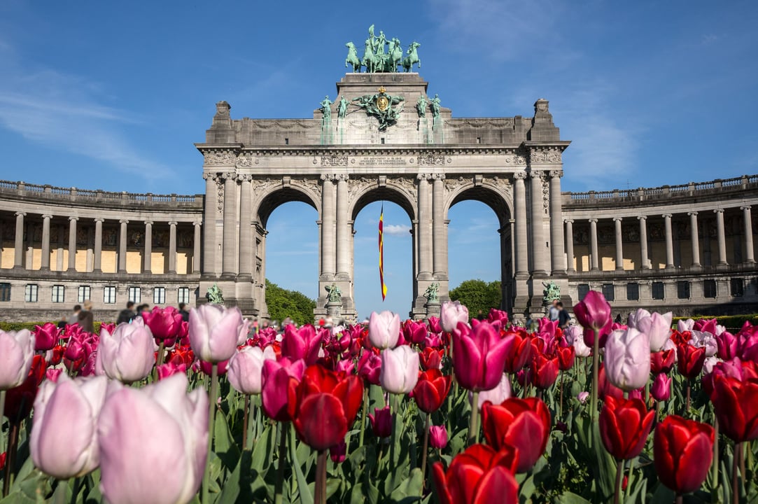 Vibrant red and pink tulips in bloom in the foreground with the majestic Cinquantenaire Arch under a clear blue sky in Brussels, Belgium.