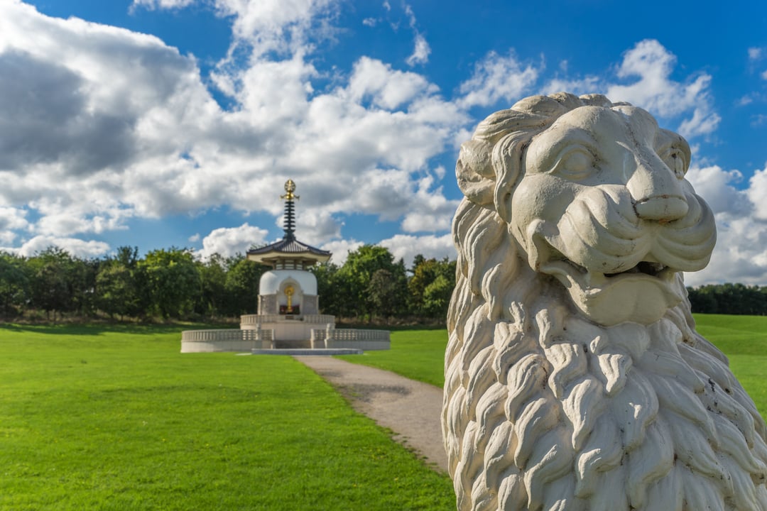 White stone lion statue in the foreground with the iconic white and gold Peace Pagoda at Willen Park, Milton Keynes, UK, under a blue sky.